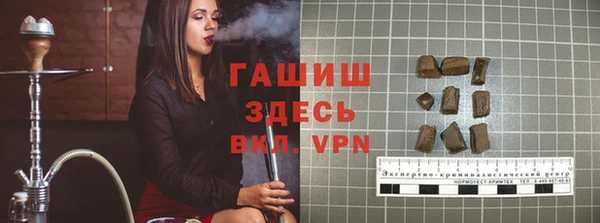 прущие грибы Покачи