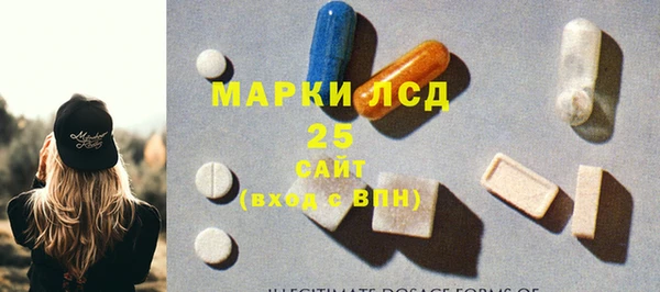 прущие грибы Покачи