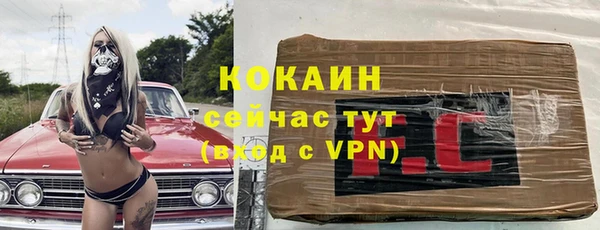 прущие грибы Покачи