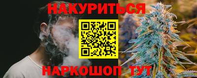 МДПВ Дубна